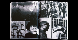 Giovanna Caliari